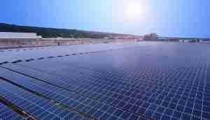 中美硅晶与william威廉中文官网光电携手战略合作